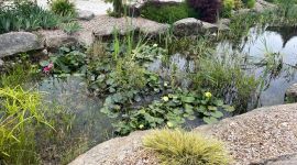 sejour06 156